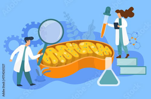 a team of doctors investigating mitochondria