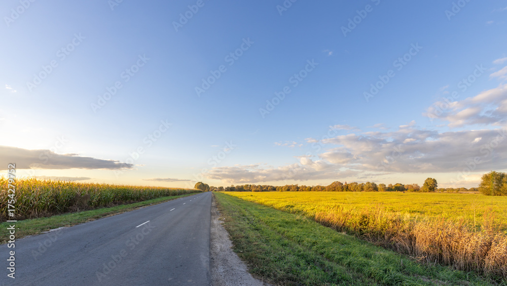 Naklejka premium Road with a clear blue sky in the background