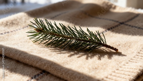 Close-up picture of a small green pine branch on a folded, beige wool blanket in natural lighting. Cozy winter home decor concept.