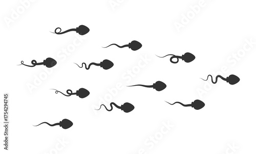 Sperm in motion, fertilization process, biology, reproductive health. Vector illustration.