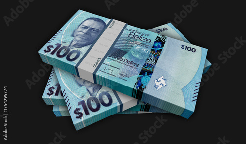 Belize dollar money banknotes pack 3d illustration
