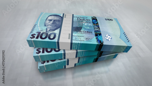 Belize dollar money banknotes pack 3d illustration