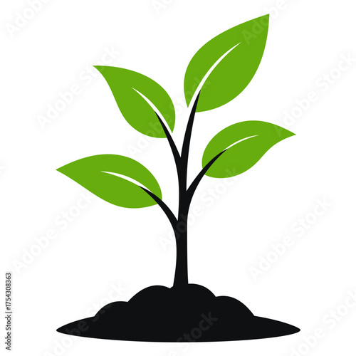 A small green leafy plant with a black stem. The plant is growing in a small patch of dirt. Vector.