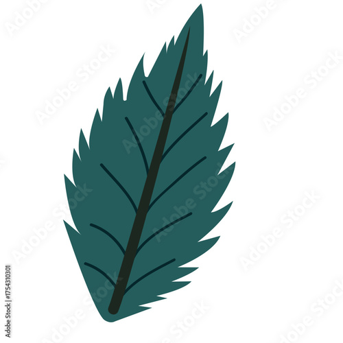 Dark green single leaf with smooth edge, adding sophisticated depth to botanical, editorial, or minimalist nature-themed visuals.
