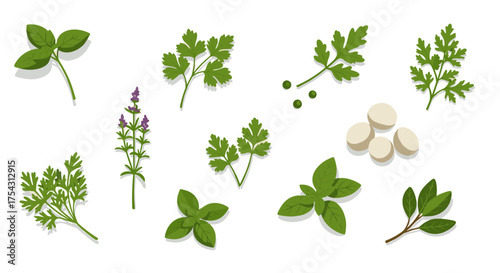 Fresh herb collection with peppercorns and garlic on white background