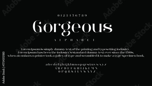 gorgeous premium luxury elegant alphabet letters and numbers. Vintage wedding typography classic serif font decorative vintage concept. Creative vector illustration.	
