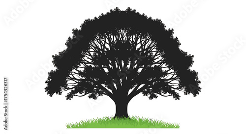 Silhouette of a Large Oak Tree with Spreading Branches and Green Grass Illustration Isolated on White Background