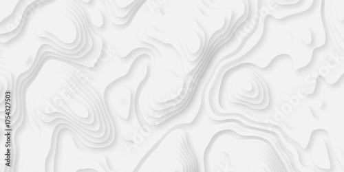 Abstract background vector Abstract wavy line 3d paper cut white background. Abstract pattern with lines. Abstract sea map geographic contour map and topographic contours map background.
