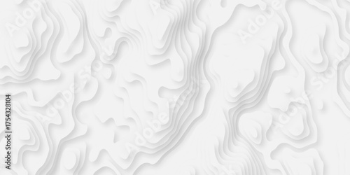 Abstract background vector Abstract wavy line 3d paper cut white background. Abstract pattern with lines. Abstract sea map geographic contour map and topographic contours map background.