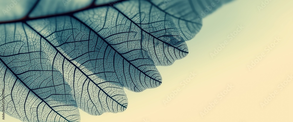 Obraz premium Generative AI, Calm Naturalistic Background of Faint Leaf Illustration on Silk Texture