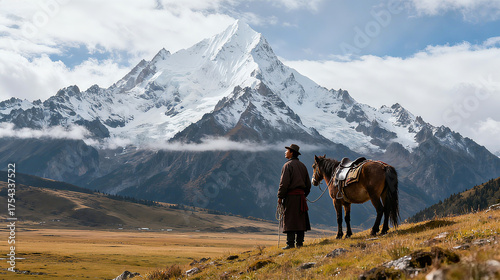 horses on the mountain