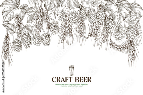 Craft beer background with hop and malt