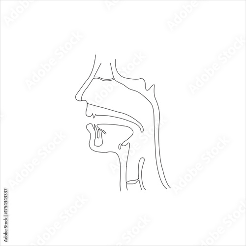 Continuous one line drawing of human lungs one line of anatomical human lungs medical internal concept continuous line art 