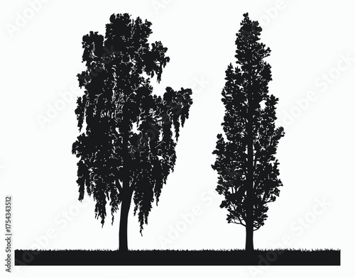 Abstract and Simple Poplar Tree Silhouette Vector EPS Template