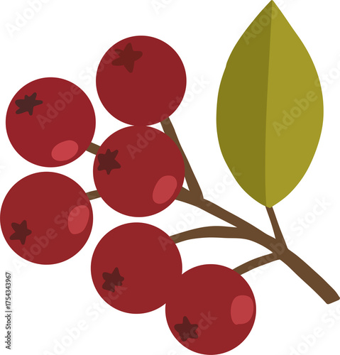 Fotografie A small sprig of berries and a leaf, commonly associated with plants like cranberry, holly, or rowan, which are popular during the autumn and winter seasons