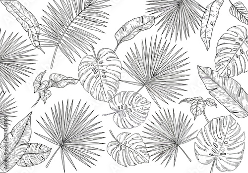 Tropical Leaves Pattern: Black and White Botanical Illustration.
