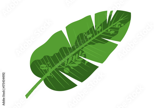 Stylized Green Banana Leaf Illustration with Veins and Details.