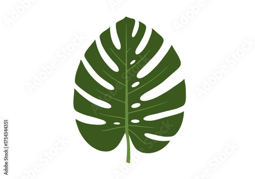 Stylized Green Monstera Leaf Illustration with Cutouts.