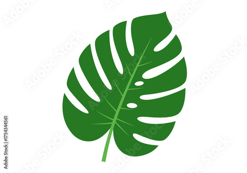 Isolated Green Monstera Leaf Illustration with Distinctive Fenestrations.
