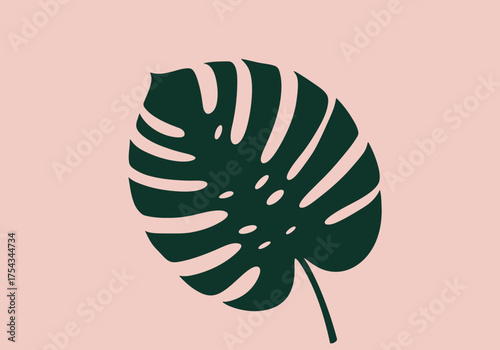 Stylized Dark Green Monstera Leaf on Light Pink Background.