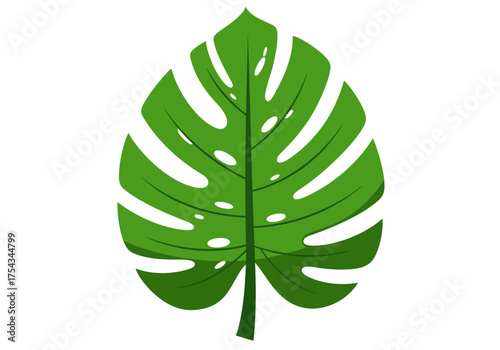 Stylized Green Monstera Leaf with Cutouts and Veins.