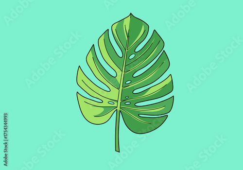 Illustrated Monstera Leaf with Distinctive Fenestrations on Teal Background.