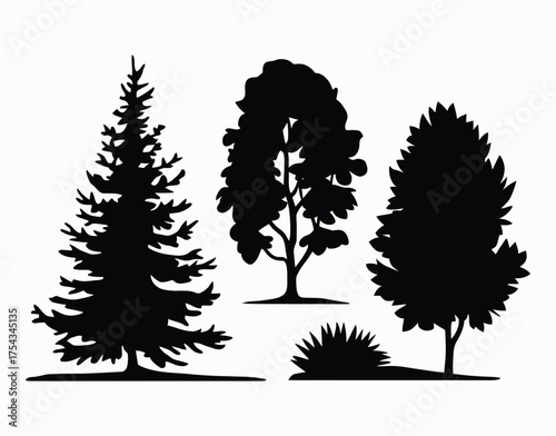 Isolated Poplar Tree Silhouette Vector Template in EPS Format