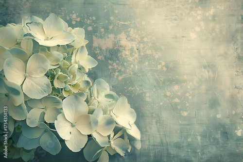 Fine art photograph of pale blue hydrangea blossoms in soft focus with pastel tones and vintage film texture