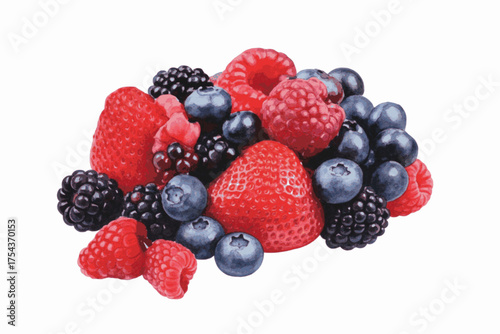 Mixed Berries Berry Medley isolated watercolor vector illustration svg