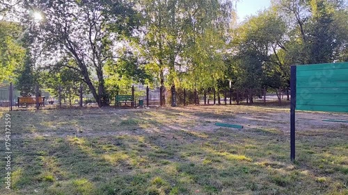 Enclosed dog playground featuring a wooden ramps and grassy area. The space is bordered by a decorative metal fence with arched tops. Video 