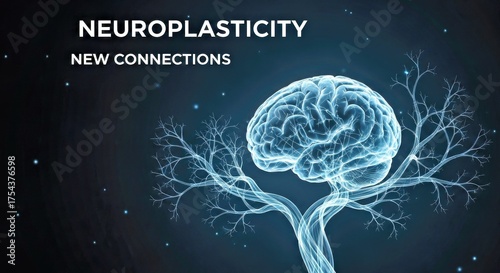 Neuroplasticity: A visual representation of the brain, depicted with interconnected networks, symbolizes the adaptability of the brain, sparking curiosity and engagement. 