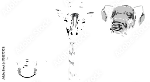 Stylized animal portraits in monochrome grayscale arrangement