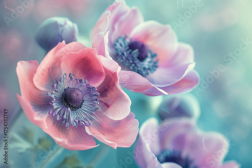 Delicate Coral and Lilac Anemone Flowers with Soft Bokeh on Vintage Pastel Teal Background
