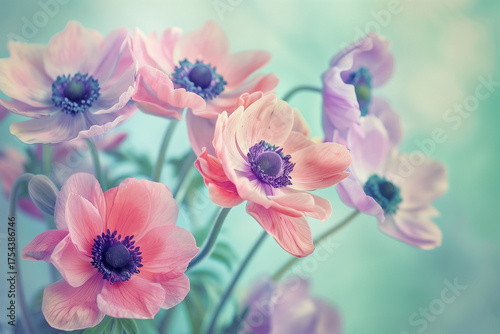Delicate Coral and Lilac Anemone Flowers with Soft Bokeh on Vintage Pastel Teal Background