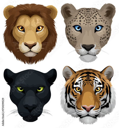 Wild animal portraits lion leopard panther tiger faces