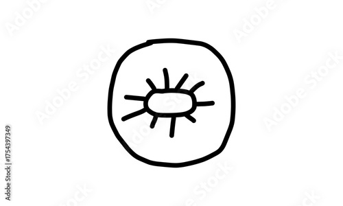 vector illustration of a bug, vector of a sun, had drawn sun, child draw sun