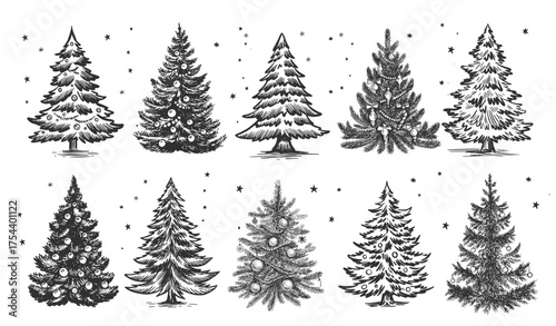 Christmas tree set on white. Hand drawn illustration. 
