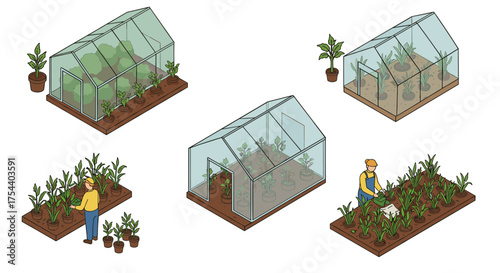 Greenhouse farming: modern isometric design of sustainable plant cultivation