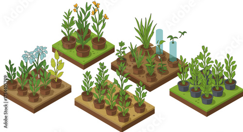 Isometric garden beds with diverse plant arrangements and seedlings