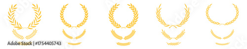 Golden branch of olive leaves or stars of victory symbol, insignia emblem decoration design, triumph honor champion prize isolated on white. Gold laurel wreath, winner award set vector illustration.