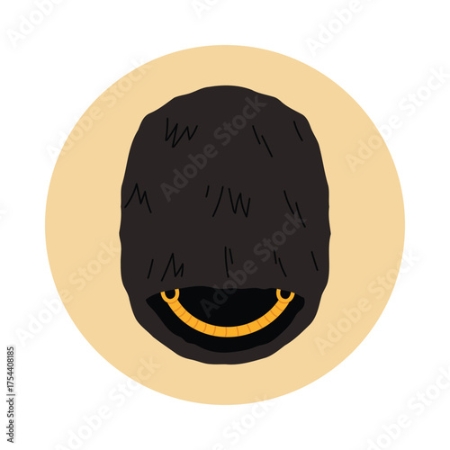 Obraz na plátně Minimalist isolated icon of a traditional UK guard bearskin hat with gold chinst