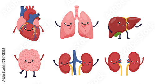 Cute cartoon organs with happy faces: heart, lungs, liver, brain, kidneys