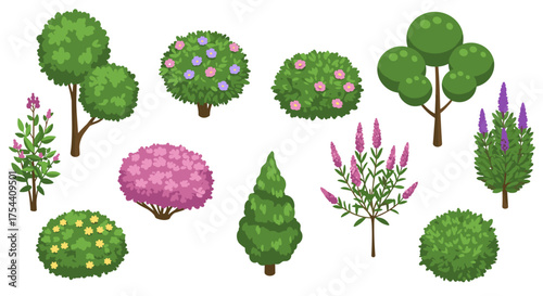 Colorful collection of decorative garden plants and shrubs