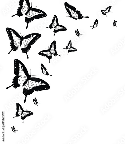 Elegant black and white vector illustration of fluttering butterflies scalable graphic art silhouette vector illustration white background
