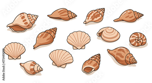 Seashell collection: flat style decorative marine shells on white