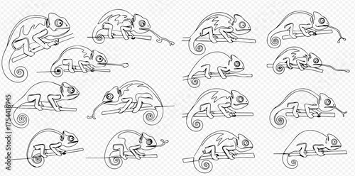 Continuous line art illustrations of chameleons in various poses, some extending their tongues, sitting on branches.