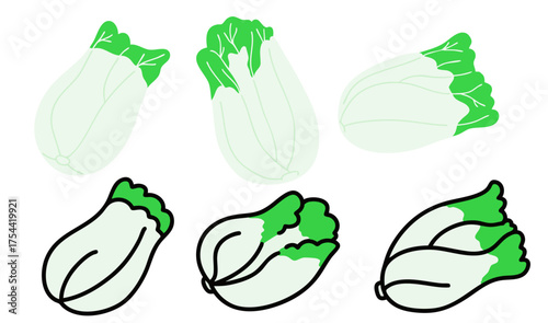 cabbage