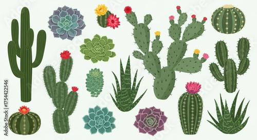 Diverse collection of cacti and succulents, showcasing the beauty and resilience of desert plants in a colorful arrangement