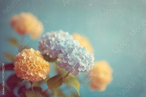 Colorful Hydrangeas and Yellow Flowers on Blue Background with Soft Focus and Vintage Pastel Style