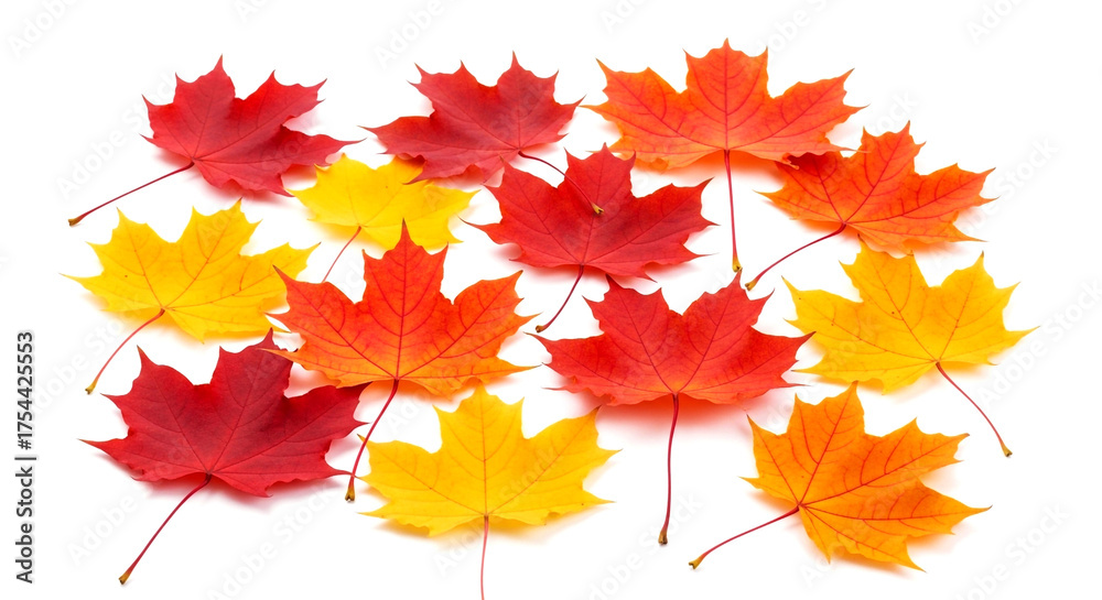 Fototapeta premium Autumn Leaves, Generative Ai